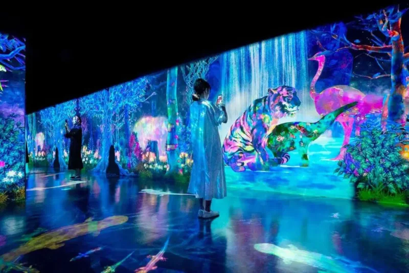 Beautiful-indoor-exhibition-screen Beautiful indoor exhibition screen